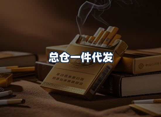专业团队办公环境